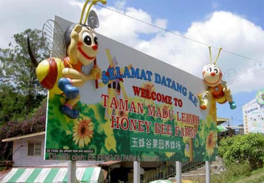 From Kuala Lumpur: Cameron Highlands Private or Join In Tour - Cameron Valley Tea House 2 is the main event
