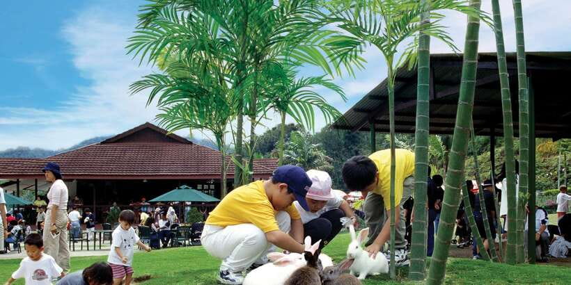 From Kuala Lumpur: Colmar Tropicale and Batu Caves Day Trip - Rabbit Park: a stop to consider carefully
