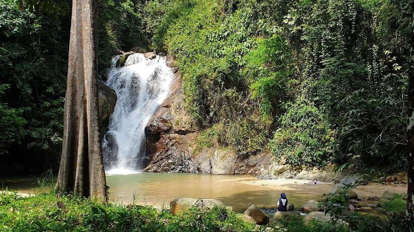 From Kuala Lumpur: Elephant Sanctuary Guided Tour - Key points to know before booking