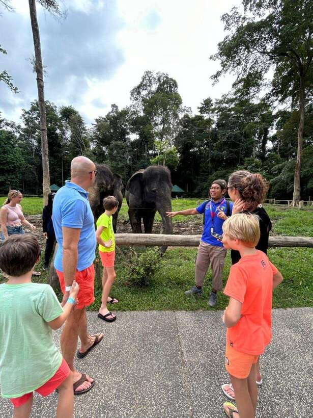 From Kuala Lumpur: Elephant Sanctuary Guided Tour - Two hours with the elephants at Kuala Gandah
