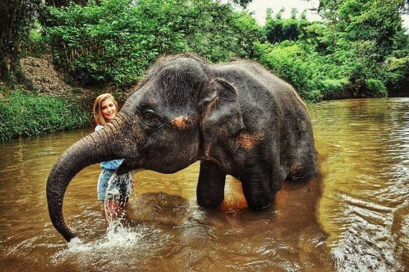 From Kuala Lumpur: Elephant Sanctuary Guided Tour - What the guides add to the day