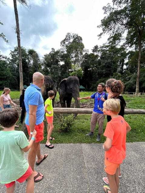 From Kuala Lumpur: Elephant Sanctuary Guided Tour - Is the $150 price fair?