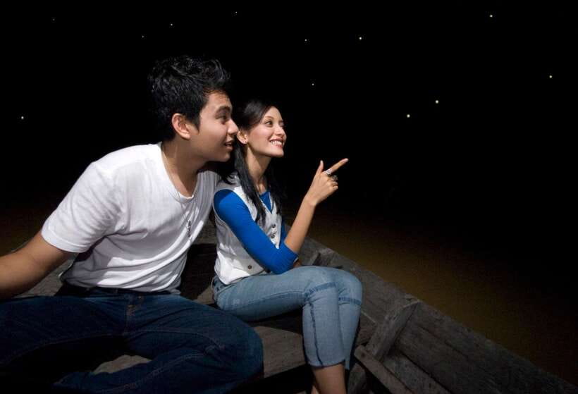 From Kuala Lumpur: Fireflies Tour and Seafood Dinner - What the private format really gives you