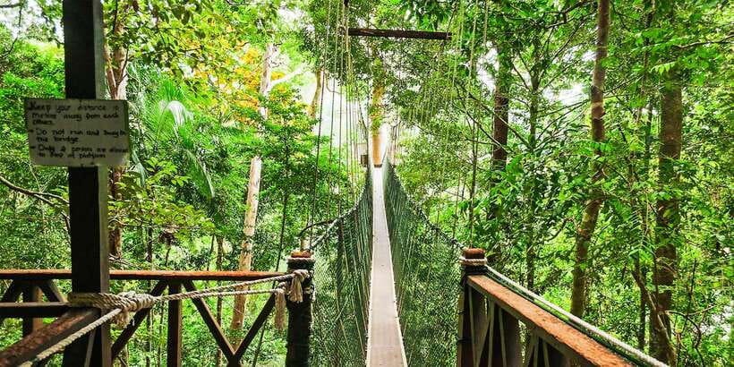 From Kuala Lumpur: Full-Day Taman Negara National Park - What to pack for a wet, active day