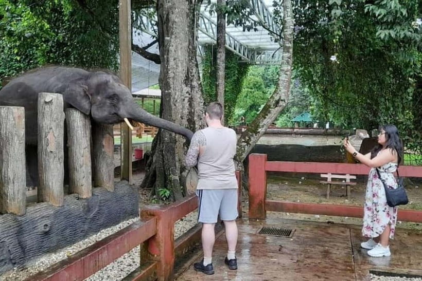From Kuala Lumpur: Kuala Gandah & Batu Caves Day Trip - Learning what Kuala Gandah actually does
