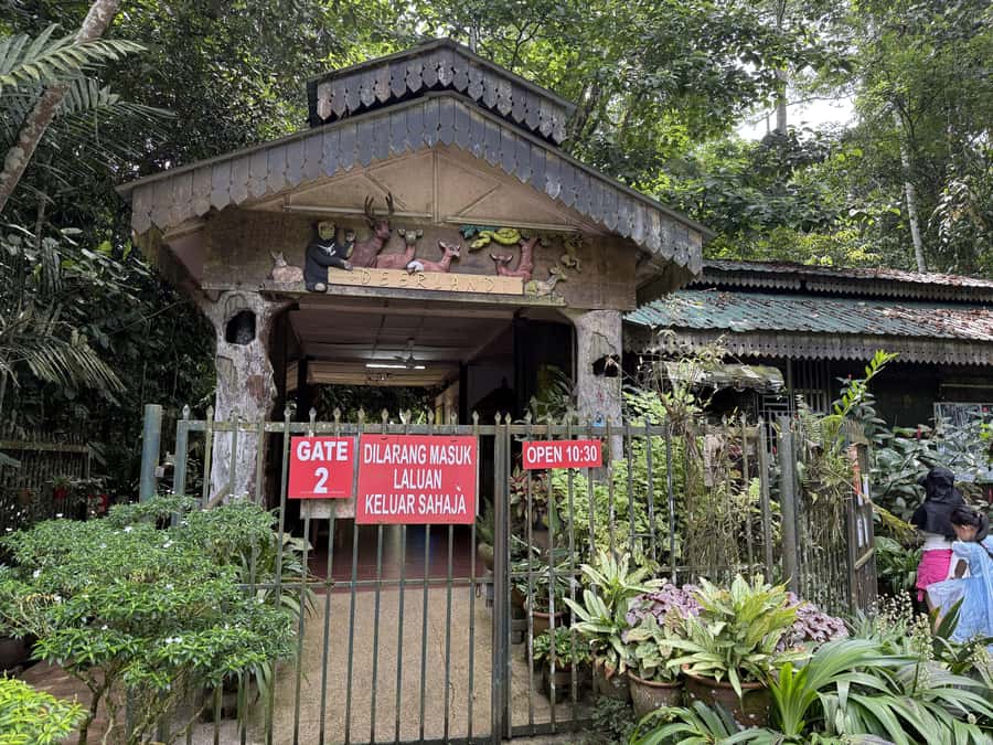 From Kuala Lumpur: Kuala Gandah Elephant Sanctuary Day Trip - Inside the Kuala Gandah Elephant Conservation Centre