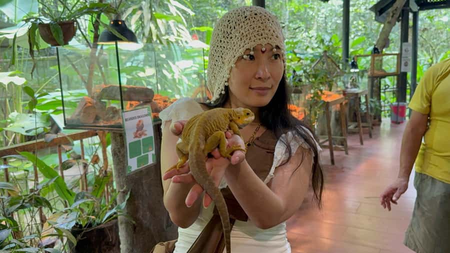 From Kuala Lumpur: Kuala Gandah Elephant Sanctuary Day Trip - Guides, vehicles, and the pace of the day