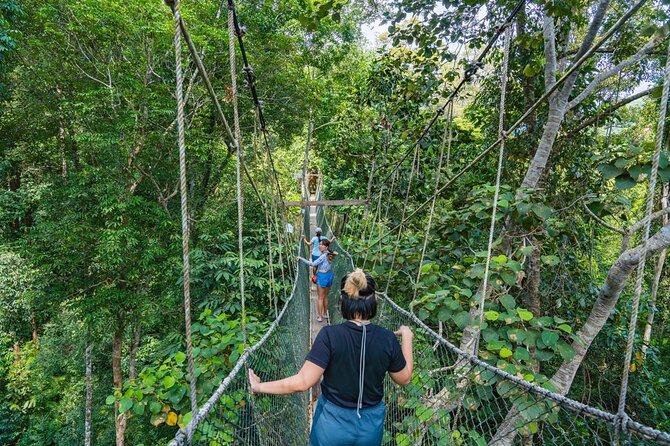 From Kuala Lumpur Taman Negara Day Trip With Lunch - Key points to know before booking