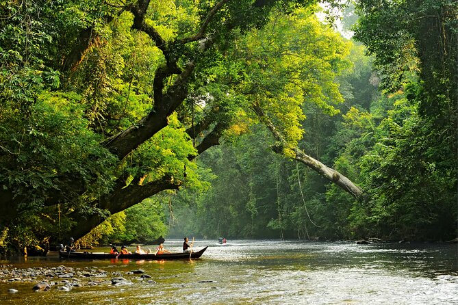 From Kuala Lumpur Taman Negara Day Trip With Lunch - Why this Taman Negara day trip is worth considering