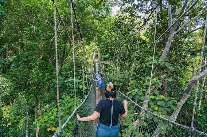 From Kuala Lumpur Taman Negara Day Trip With Lunch - Boat rides and rapid shooting
