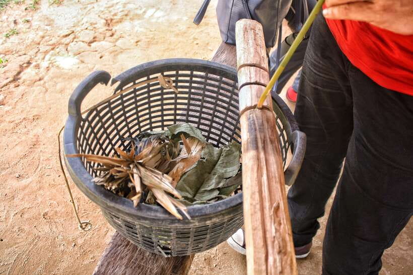 From Kuala Lumpur: Taman Negara National Park Trek Day Tour - Packing for the jungle and river