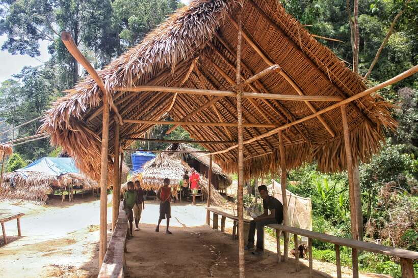 From Kuala Lumpur: Taman Negara National Park Trek Day Tour - Who should book this Taman Negara day trip