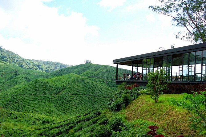 Full-day Cameron Highlands Day Trip from Kuala Lumpur - Sam Poh Temple provides a quieter final stop