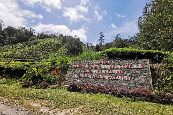 Full-day Cameron Highlands Day Trip from Kuala Lumpur - Brinchang food and the return to Kuala Lumpur