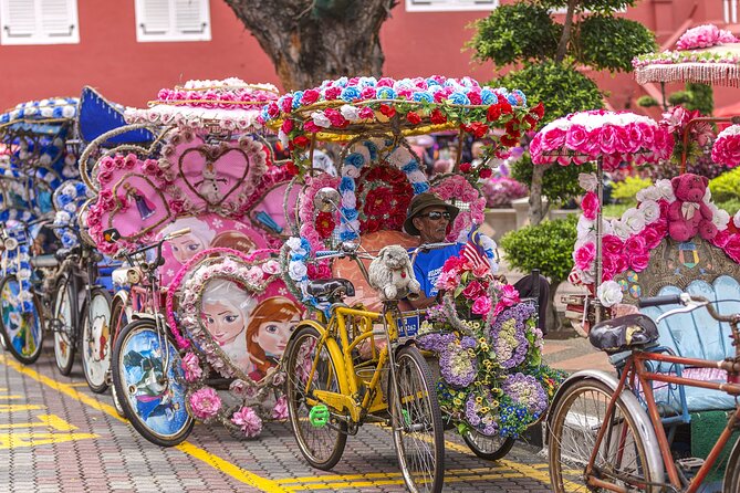 Full day in Malacca Historical Private Tour in Kuala Lumpur - What the $115 price really covers