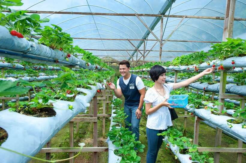 Genting Highland: Private Day Trip from Kuala Lumpur - Casino de Genting is optional, not the whole point