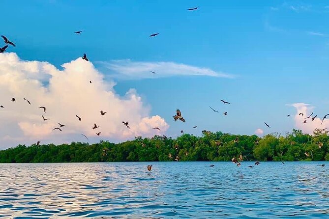 Instagrammable Kuala Selangor Sky Mirror Tour with Transfer - Who will enjoy this day trip most?