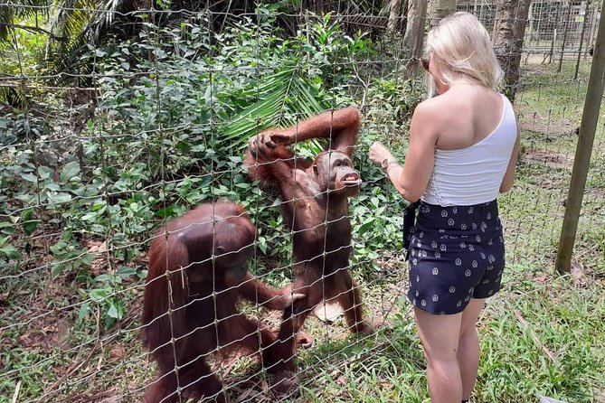 Ipoh Heritage & Orang Utan Island Day Tour from Kuala Lumpur - The Ipoh Heritage Walk is a sampler, not a full walk