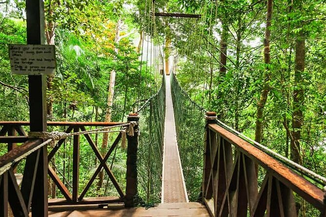 Jungle Odyssey: Unleash Your Adventure in Taman Negara! - Key points to know before booking