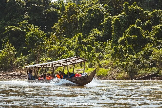 Jungle Odyssey: Unleash Your Adventure in Taman Negara! - Why Taman Negara is worth the long day