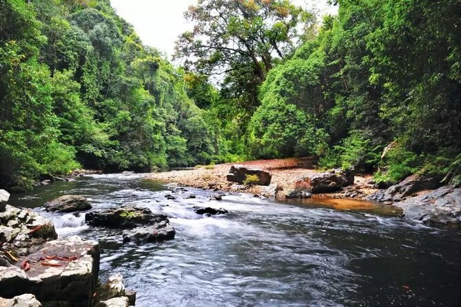 Jungle Odyssey: Unleash Your Adventure in Taman Negara! - What the $169.66 price includes