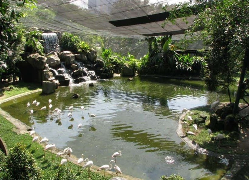 Kuala Lumpur: Bird Park, Butterfly & Garden Private Tour - Key points to know before you book