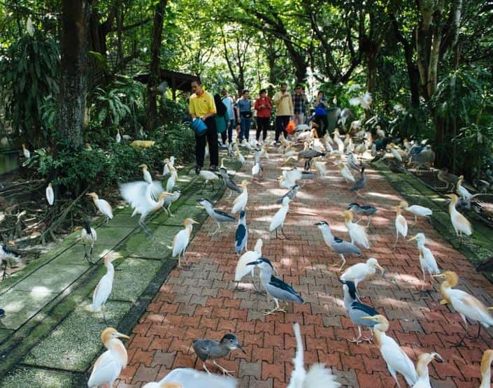 Kuala Lumpur: Bird Park, Butterfly & Garden Private Tour - A close look at butterflies, larvae, and cocoons