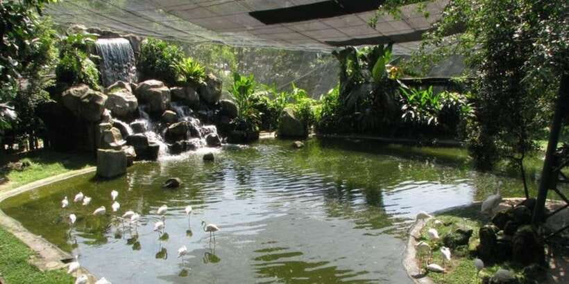 Kuala Lumpur: Bird Park, Butterfly & Garden Private Tour - What the private vehicle adds