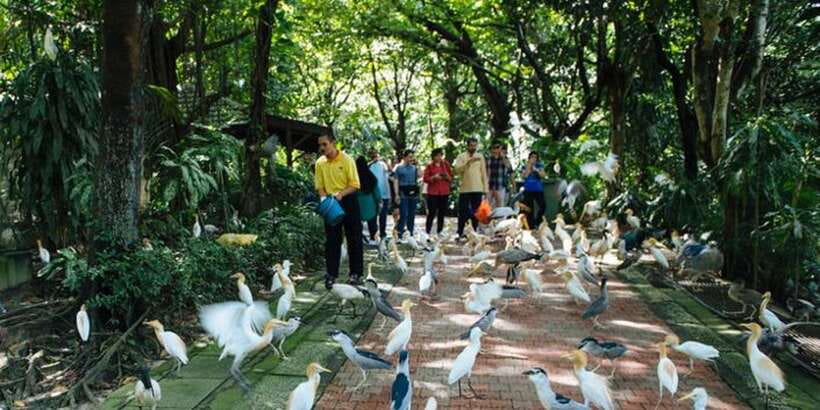 Kuala Lumpur: Bird Park, Butterfly & Garden Private Tour - Is $79 per person a fair price?