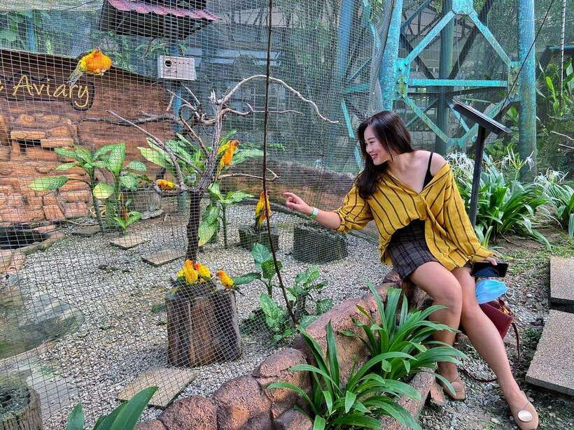 Kuala Lumpur: Bird Park Day Ticket & 1-Way Transfer - Single Bookings and Pickup Rules