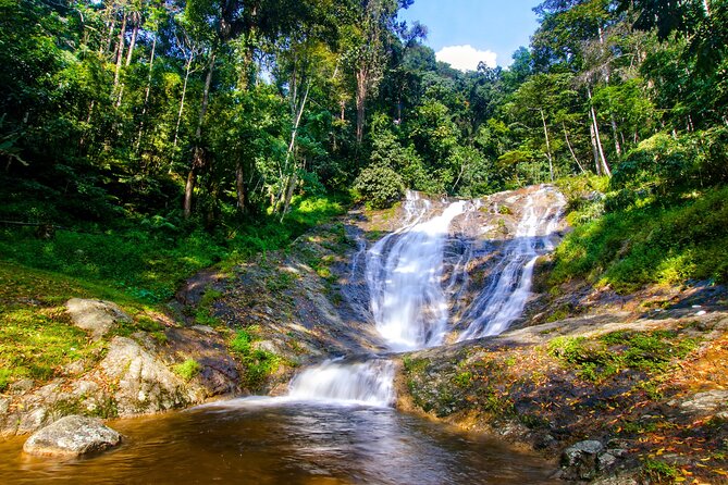 Kuala Lumpur: Cameron Highlands & Batu Caves Private Day Tour - Brinchang and an Orang Asli community