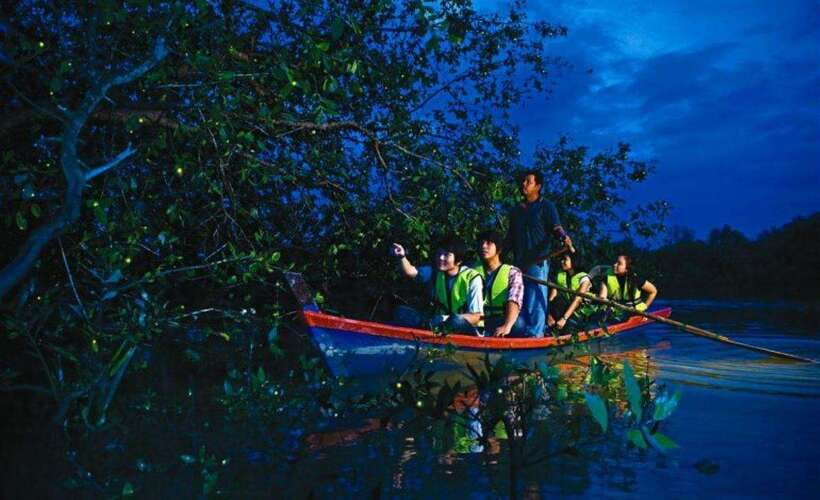 Kuala Lumpur: City Sights, Batu Caves and Fireflies Day Trip - A full day that links city icons with river wildlife