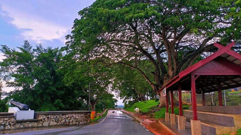 Kuala Lumpur: Fireflies & Blue Tears Tour with Seafood Meal - What the $54 price really covers