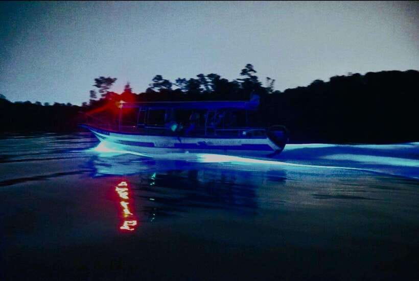 Kuala Lumpur: Fireflies & Blue Tears Tour with Seafood Meal - Who should book this evening trip