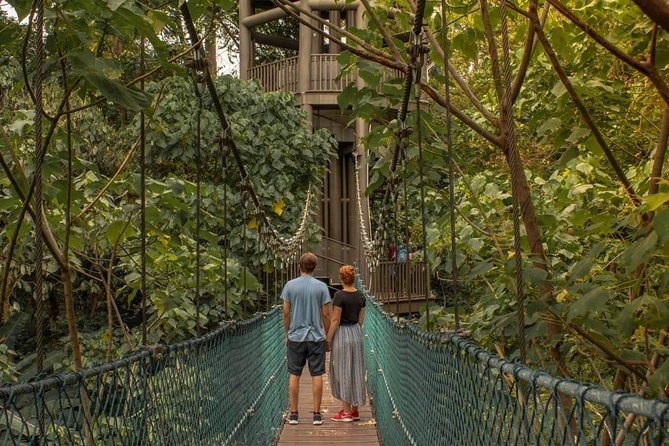 Kuala Lumpur Instagram Tour Most Famous Spots - KL Forest Eco Park inside the city