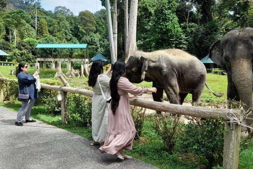Kuala Lumpur: Kuala Gandah and Batu Caves Private Trip - Starting in Kuala Lumpur with a private driver