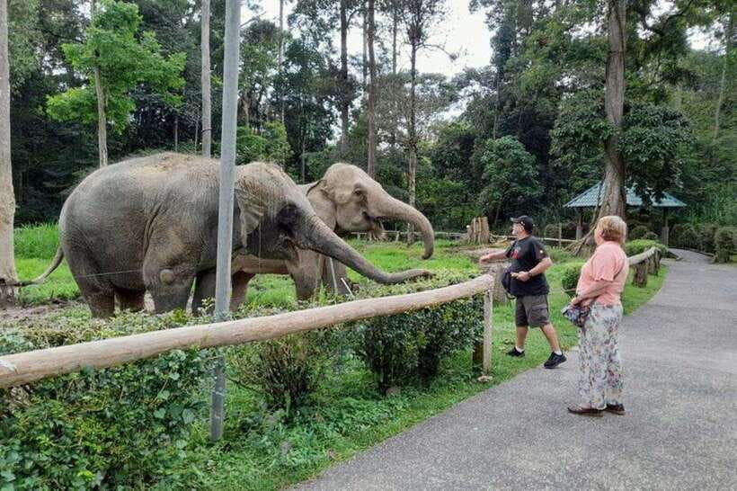 Kuala Lumpur: Kuala Gandah and Batu Caves Private Trip - The long road to Kuala Gandah