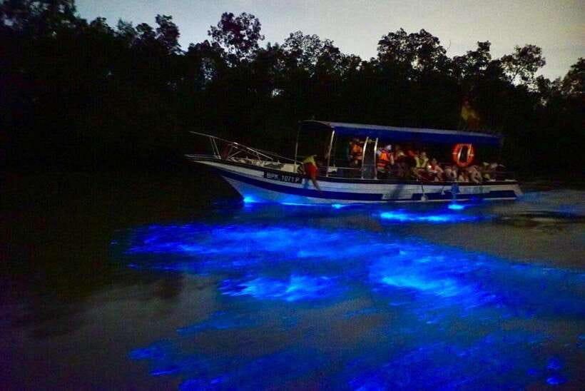 Kuala Lumpur: Kuala Selangor Fireflies and Blue Tears Tour - The firefly boat ride after dark