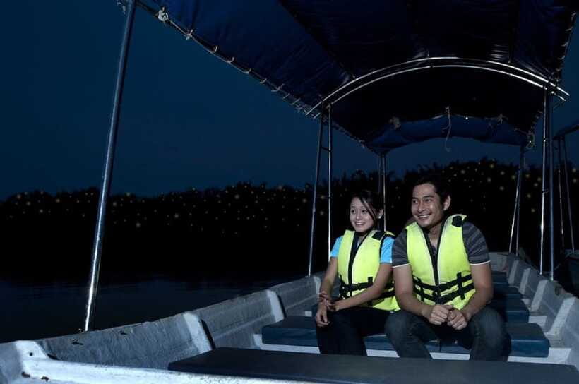 Kuala Lumpur: Kuala Selangor Firefly Tour and Dinner - The Kampung Kuantan boat ride after dark