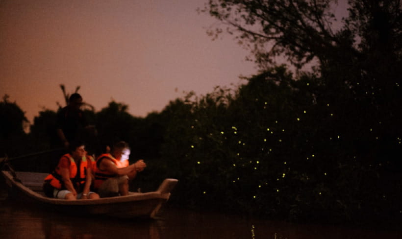 Kuala Lumpur: Kuala Selangor Firefly Tour and Dinner - Is $106 good value?