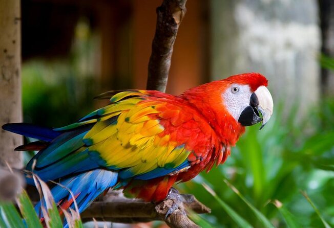 Kuala Lumpur Private Day Tour [8 Hours] [23 Attractions Covered] - Key points to know before booking
