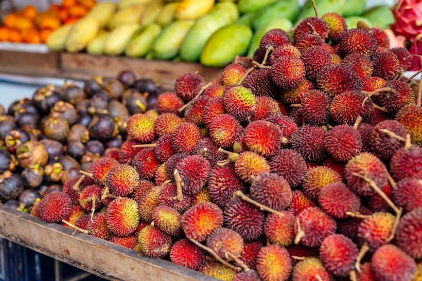 Kuala Lumpur: Private Food Tour – 10 Tastings with Locals - Timing, pace, and practical comfort