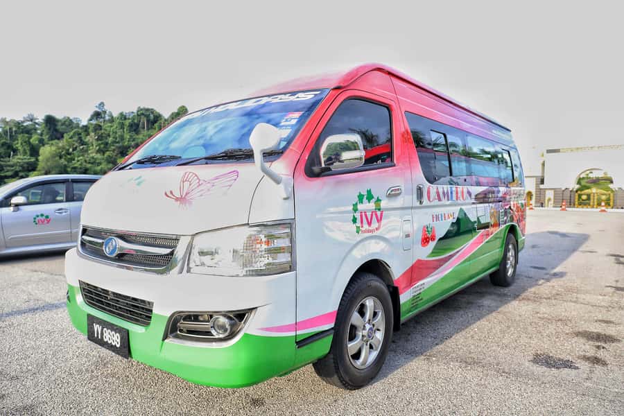 Kuala Lumpur: Sightseeing by Private Vehicle with Driver - Who should book this experience
