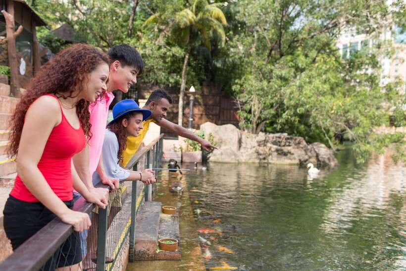 Kuala Lumpur: Sunway Lagoon Entry Ticket - Scream Park and Night Park after dark