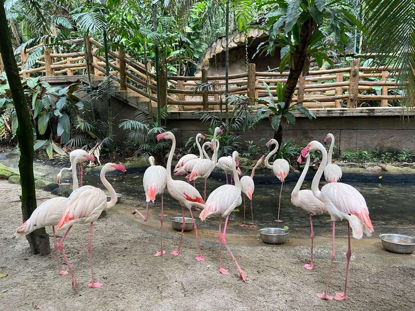 Kuala Lumpur: Sunway Lagoon Ticket & 1-Way Transfer - Entering the six zones