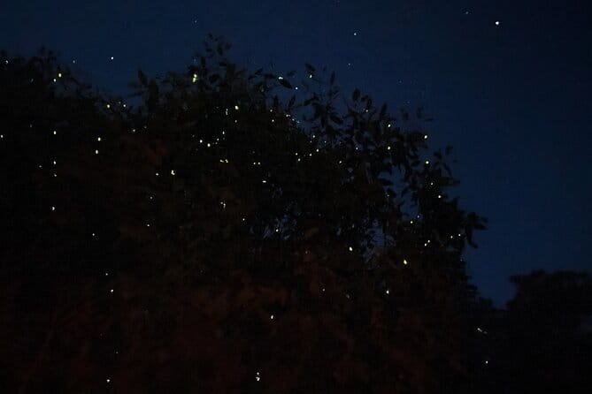 Kuala Selangor Fireflies and Blue Tears Tour with Dinner (SIC) - Bukit Melawati, history above the river