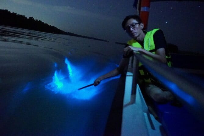 Kuala Selangor Fireflies and Blue Tears Tour with Dinner (SIC) - Fireflies from a quiet night boat