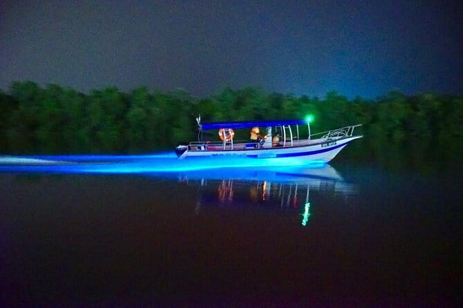 Kuala Selangor Fireflies and Blue Tears Tour with Dinner (SIC) - The riverside dinner in Kuala Selangor