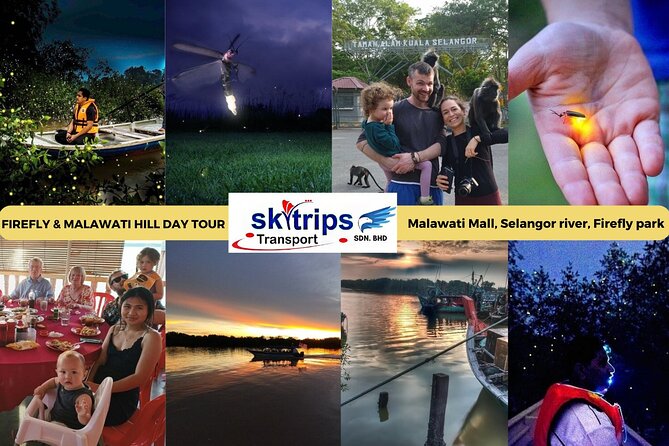 Kuala Selangor Fireflies - Batu Caves Temple- Malawati Hill DayTour With Dinner - Batu Caves and the 272-step climb