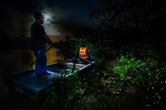 Kuala Selangor Fireflies - Batu Caves Temple- Malawati Hill DayTour With Dinner - Is $91.93 fair for a private day?